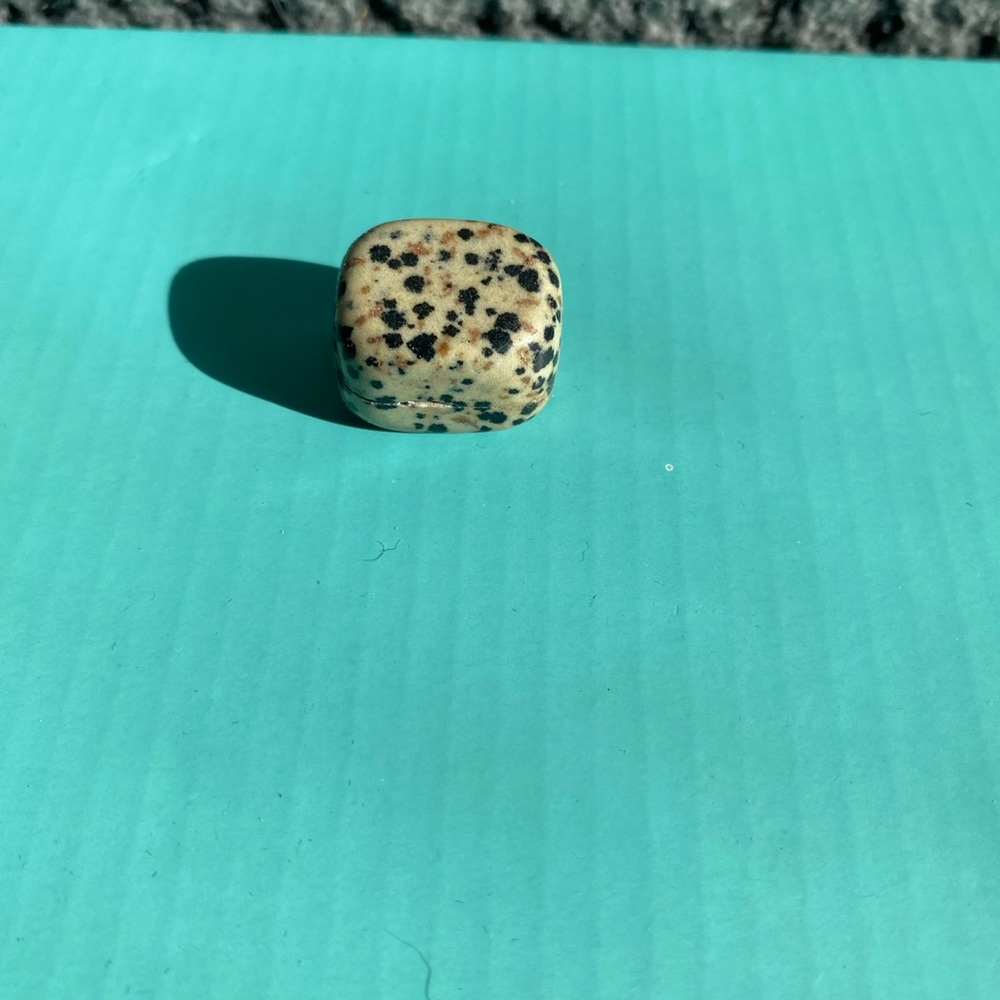 Dalmatian Jasper Stone